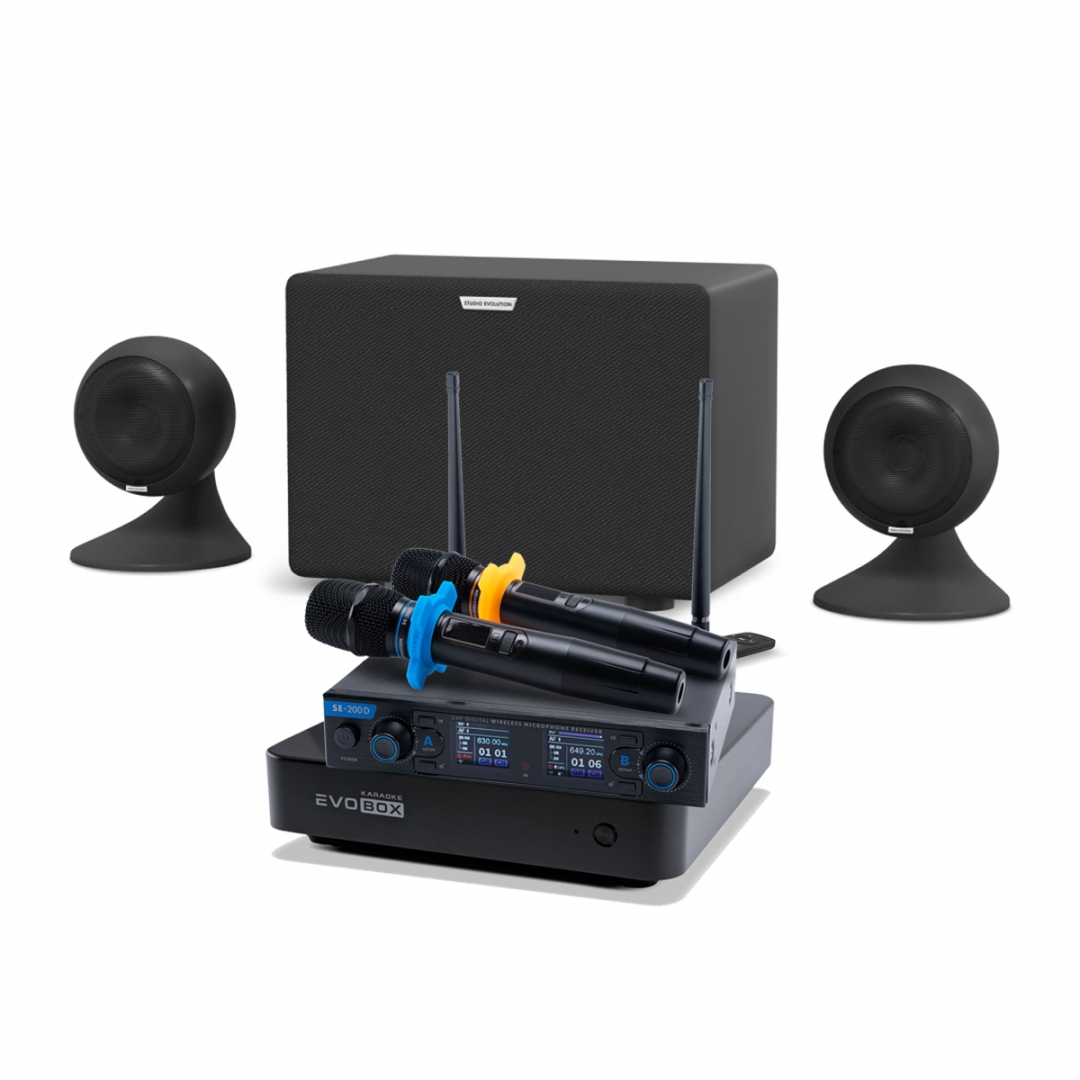 караоке-комплект EVOBOX + EvoSound Sphere 2.1 в Голицыно