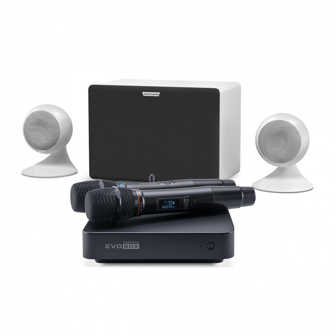 караоке-комплект EVOBOX Classic + EvoSound Sphere 2.1 в Голицыно