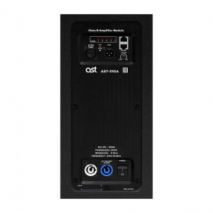 Активная акустическая система AST-310A в Голицыно
