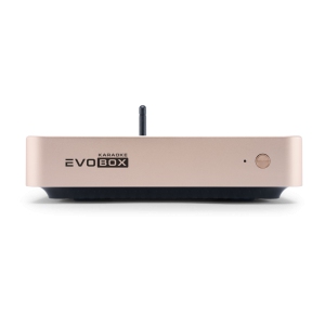 EVOBOX Classic караоке-система для дома в Голицыно