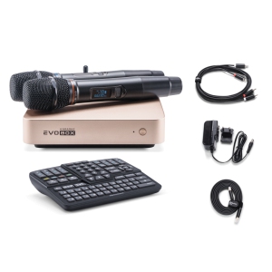EVOBOX Classic караоке-система для дома в Голицыно