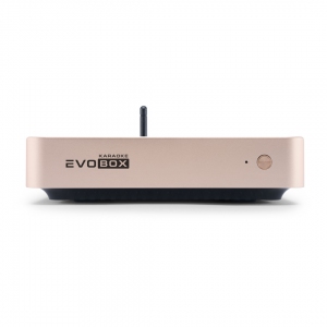 EVOBOX Plus караоке-система для дома в Голицыно