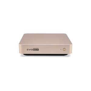 EVOBOX с микрофонами в Голицыно